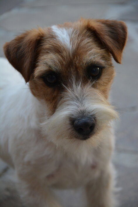 ruby1