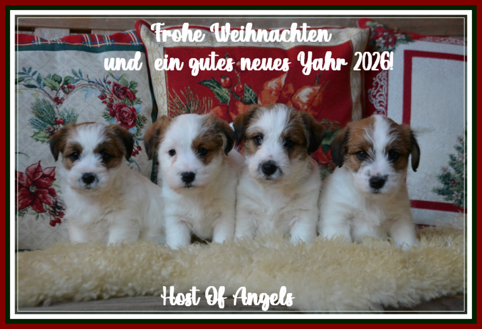 x_mas_25_host_of_angels