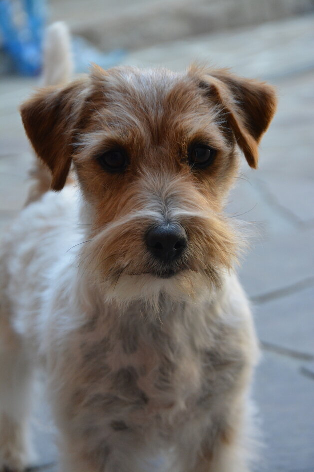 quincy2