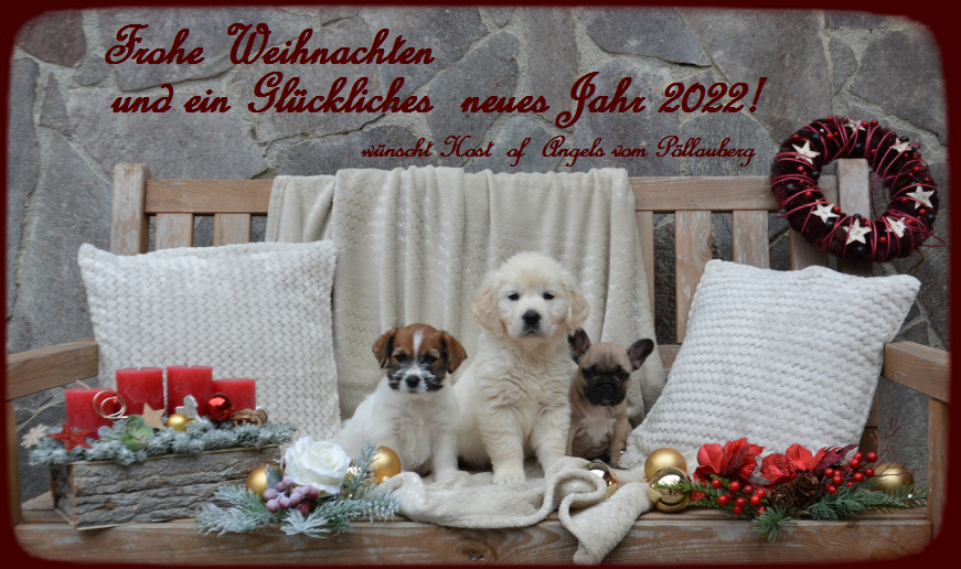 xmas_21