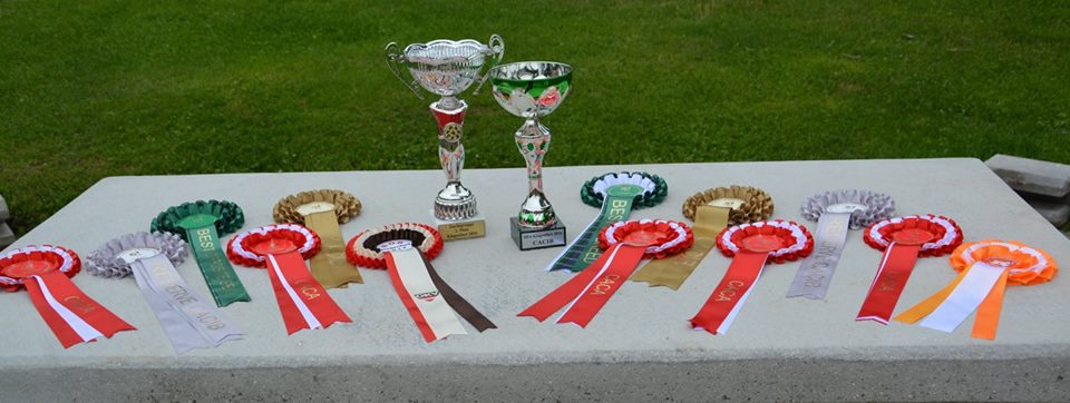 13427794_1201615923190443_6183219197603474827_n