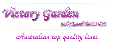 logo_jrt